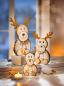Preview: Deko-Rentiere "Familie Woldemar" 3er Set Advent Deko Weihnachtsdeko Wohnungsdeko