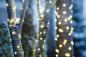 Preview: LED-Lichterkette "Classic Garden" 5m, 50 LEDs Innen und Außen Dekoration