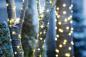Preview: LED-Lichterkette "Classic Garden" 5m, 50 LEDs Innen und Außen Dekoration